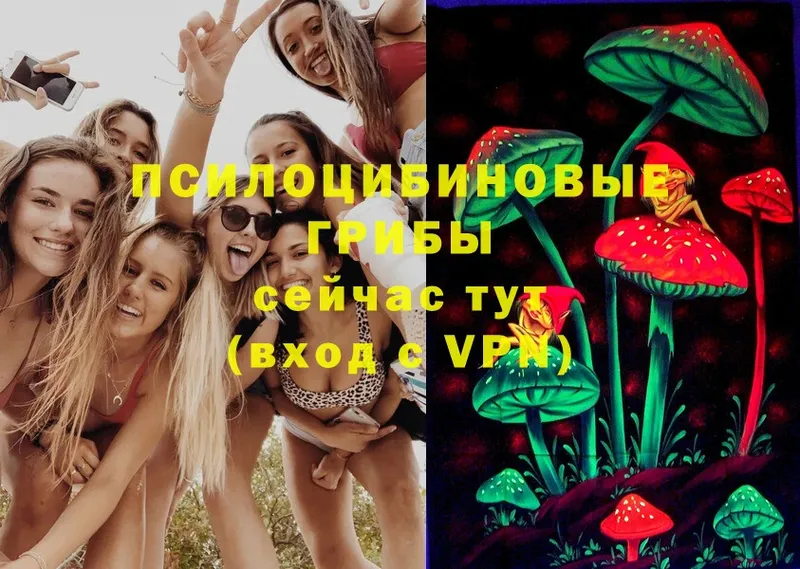 ОМГ ОМГ вход  Мензелинск  Галлюциногенные грибы Psilocybe 